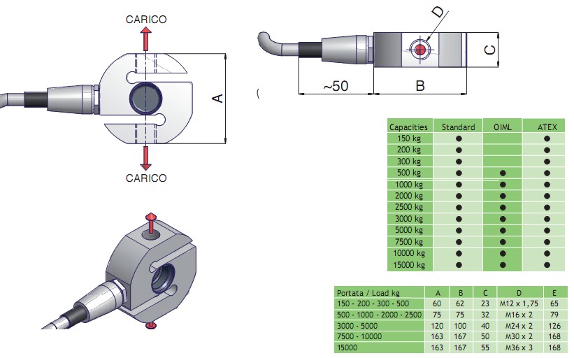SX�Q�؂�����